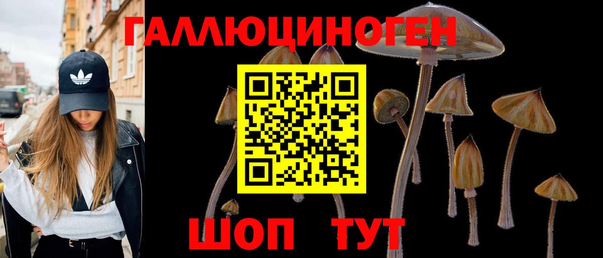 Псилоцибиновые грибы GOLDEN TEACHER  Псилоцибиновые грибы Psilocybine cubensis  Вход с VPN  Камышин 